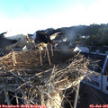 06_20-nest.jpg
