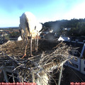 06_40-nest.jpg