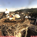08_05-nest.jpg