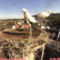 08_40-nest.jpg
