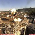 08_55-nest.jpg