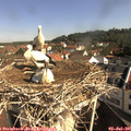 09_25-nest.jpg