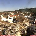 09_40-nest.jpg