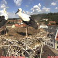 11_25-nest.jpg