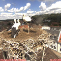 12_05-nest.jpg