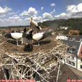 12_10-nest.jpg