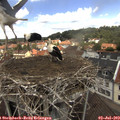 12_20-nest.jpg