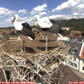 12_30-nest.jpg
