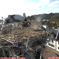 18_20-nest.jpg