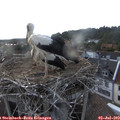 19_05-nest.jpg