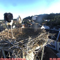 06_25-nest.jpg
