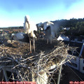 06_30-nest.jpg