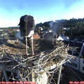 06_45-nest.jpg
