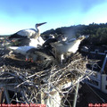 06_50-nest.jpg