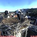 07_00-nest.jpg