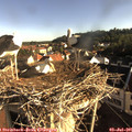 07_45-nest.jpg