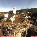 08_00-nest.jpg