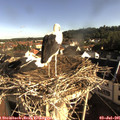 08_15-nest.jpg