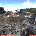 10_05-nest.jpg