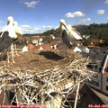10_15-nest.jpg