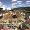 10_55-nest.jpg