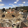 11_00-nest.jpg