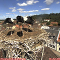 11_50-nest.jpg
