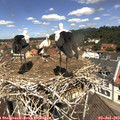 12_10-nest.jpg