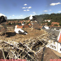 13_55-nest.jpg