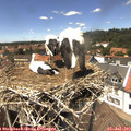 14_00-nest.jpg