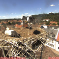 14_20-nest.jpg