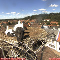 14_40-nest.jpg
