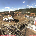 14_45-nest.jpg
