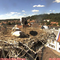 15_25-nest.jpg