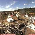 15_40-nest.jpg