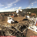 15_45-nest.jpg