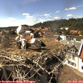 16_15-nest.jpg
