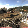 16_35-nest.jpg