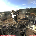 18_10-nest.jpg