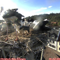 18_40-nest.jpg