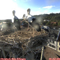 19_05-nest.jpg