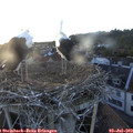 20_15-nest.jpg