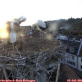 20_40-nest.jpg