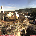 08_10-nest.jpg