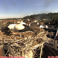 08_40-nest.jpg