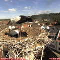 09_55-nest.jpg