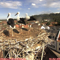 10_10-nest.jpg