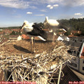 10_15-nest.jpg