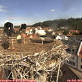 10_30-nest.jpg