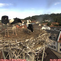 10_35-nest.jpg